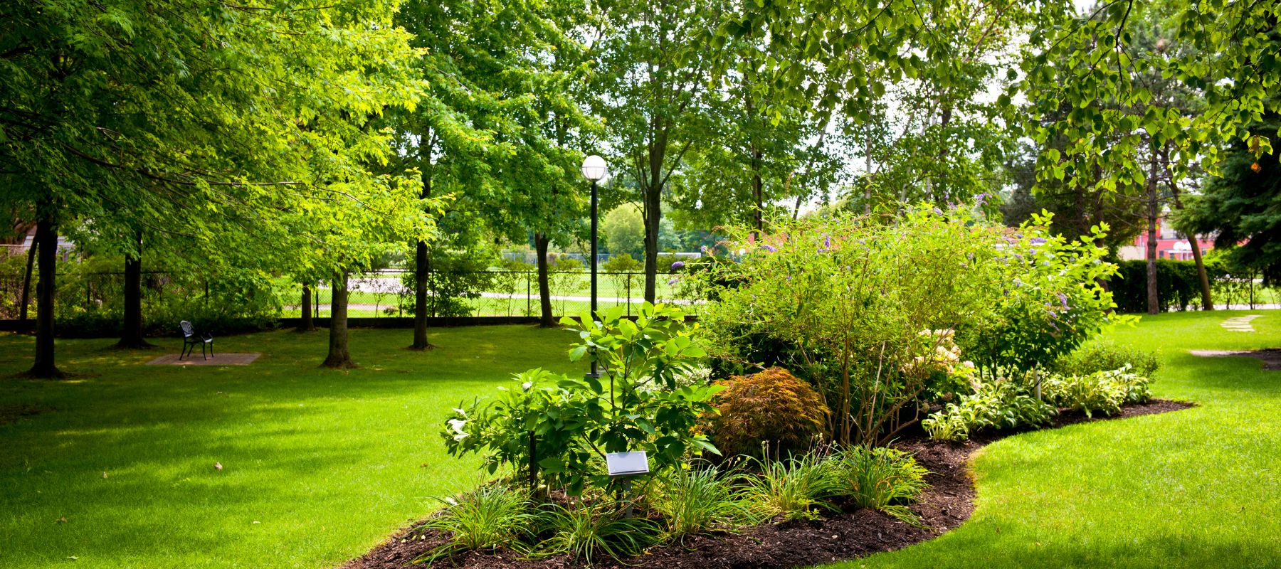 landscaping job done on a texas backyard
