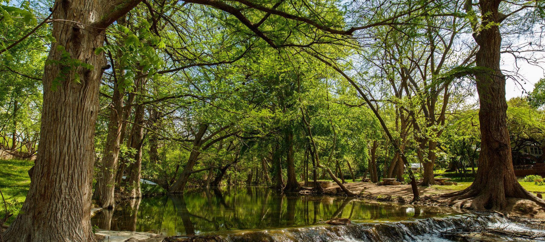 calm river with trees surrounding it